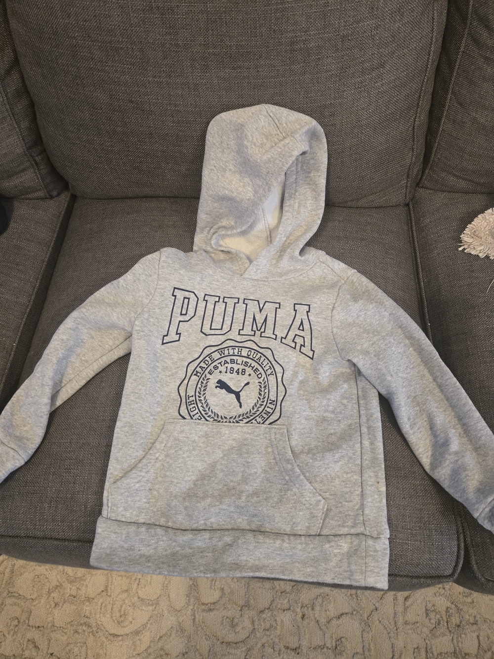 Puma Light Gray Hooded Sweatshirt with Navy Logo